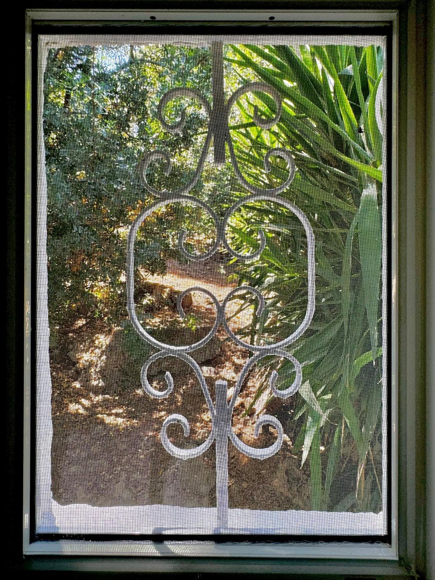 Gardenhouse Holiday home *